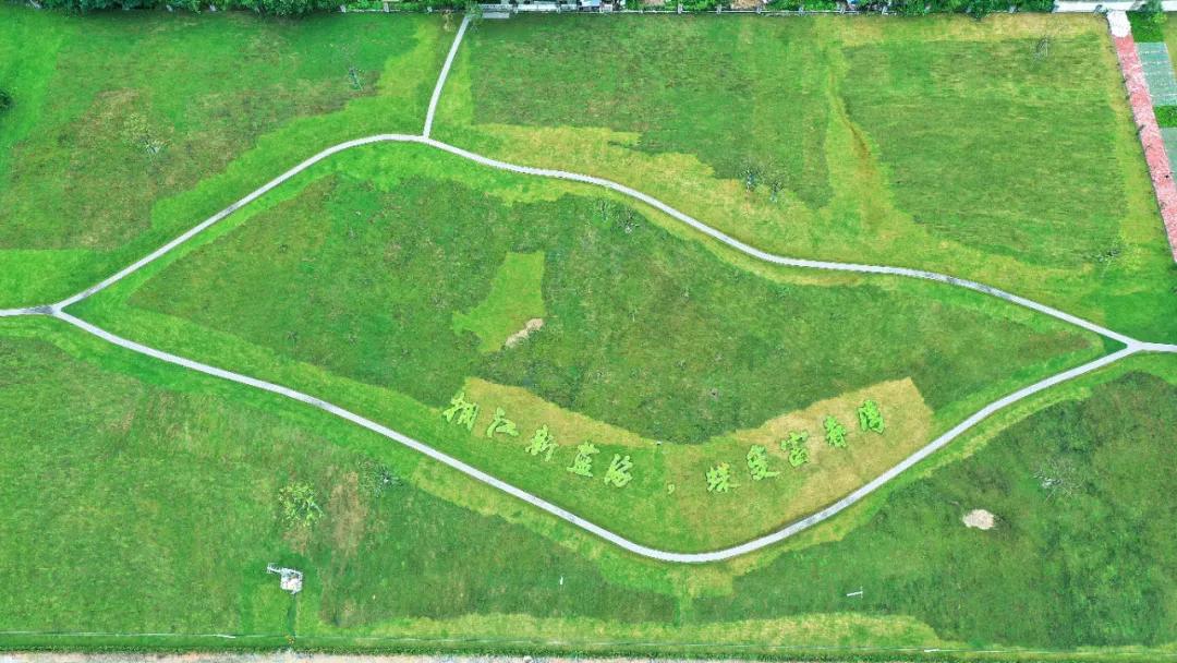 造纸厂变身绿地公园！富阳出现了一个超大草坪，相当于4.5个足球场！