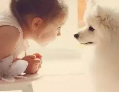 最容易读错的106个多音字赶快收藏,必背50个常见多音字你会几个