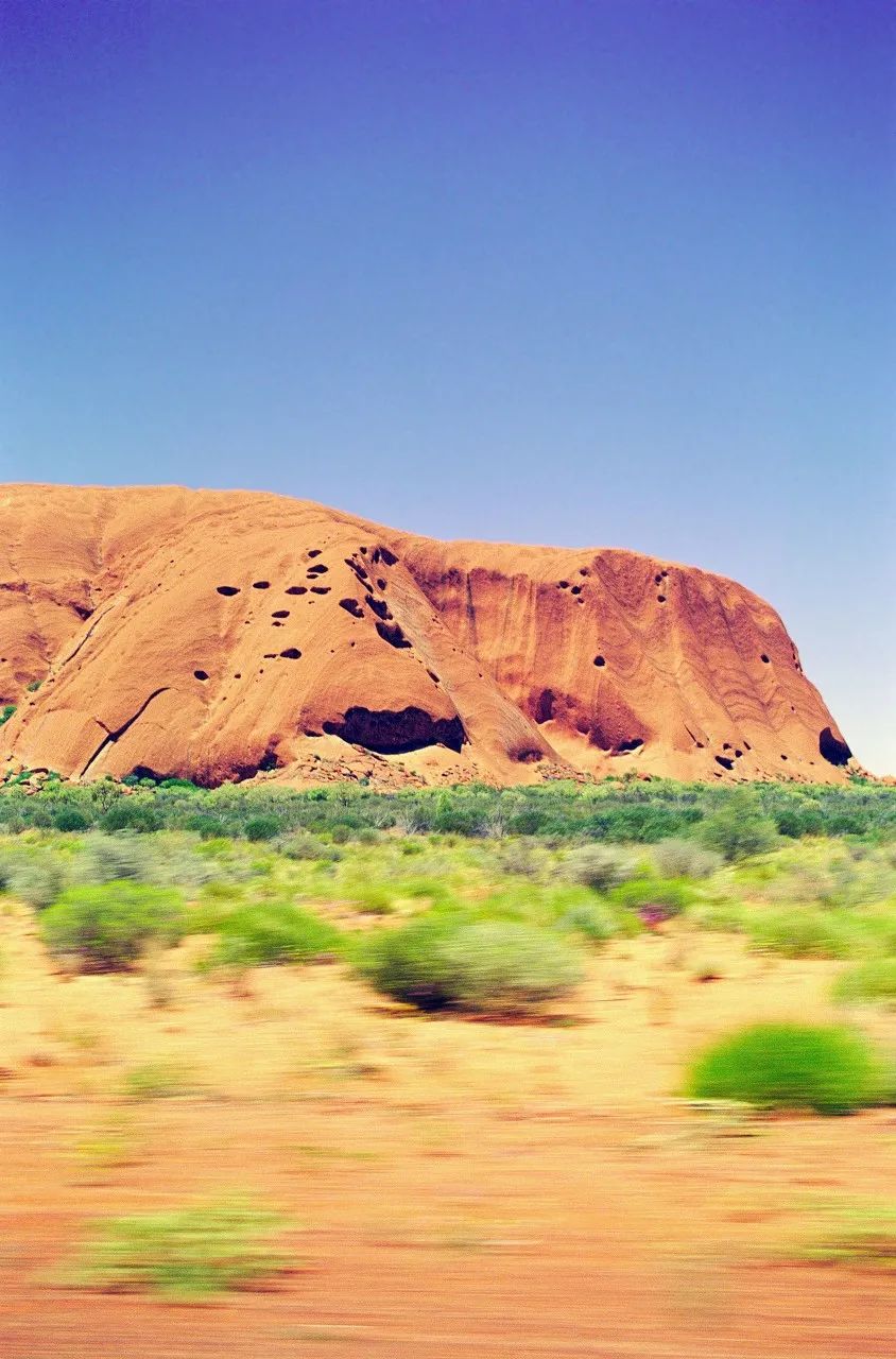 宅家封印解除,漫长的宅家封印解除