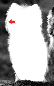 如何用photoshop抠图新手入门教程,photoshop快速抠图几种方法