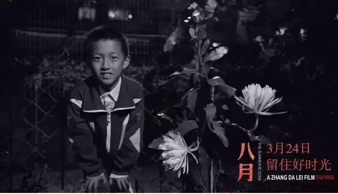 金鸡金马谁赢了,金鸡碾压金马