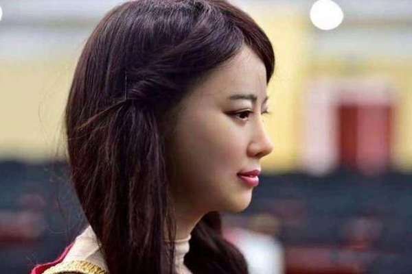 日本仿真机器人内部构造图,日本新出的机器人跟真人一样视频