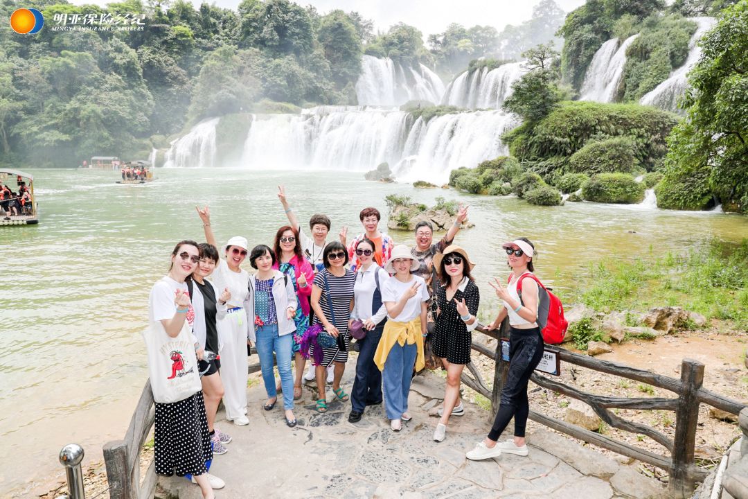 绿城叙话，明亚绽放保险力量之花