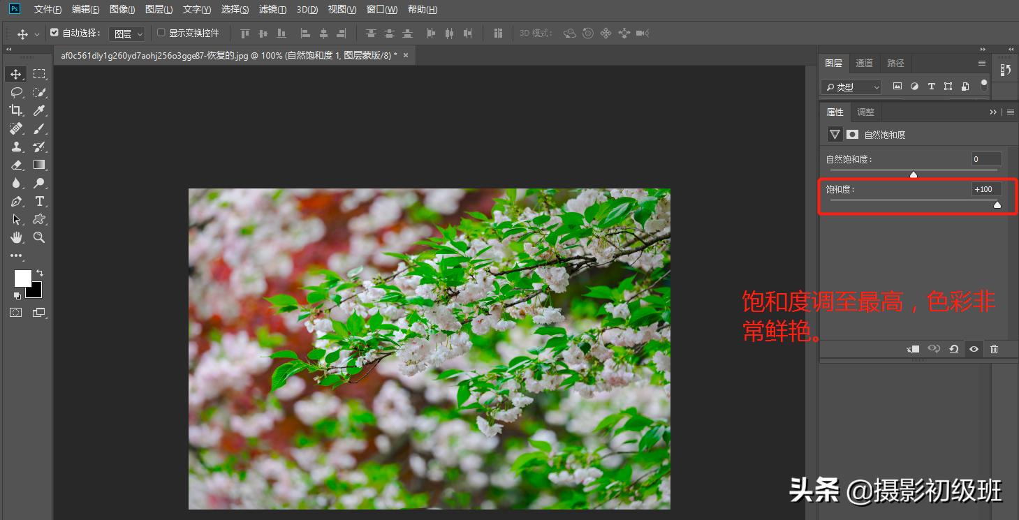 摄影饱和度怎么调,小白学摄影饱和度