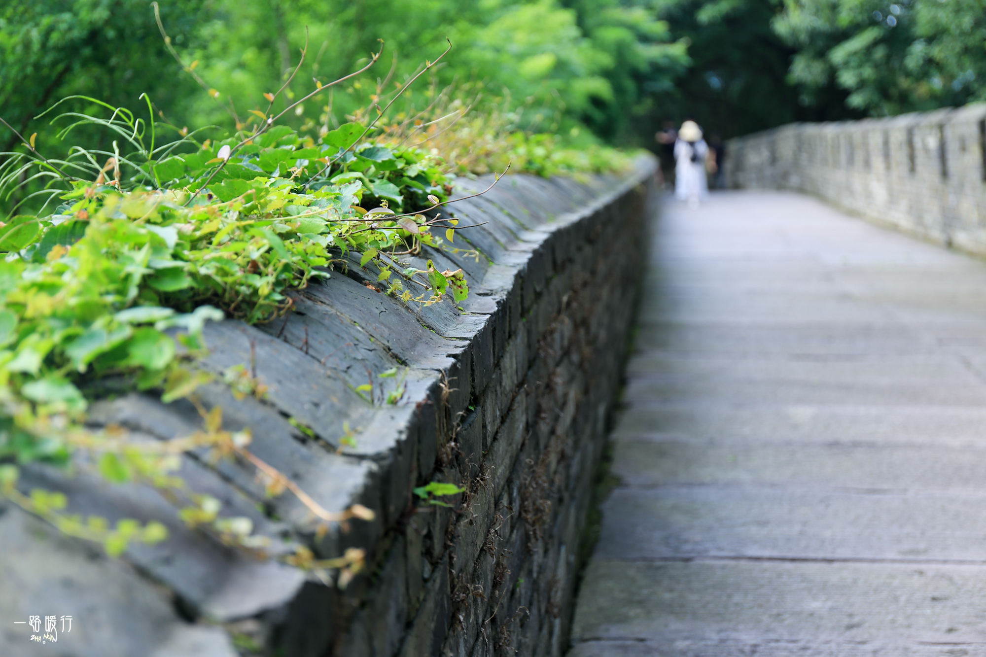 江南唯一的古长城,江南长城是免费的吗