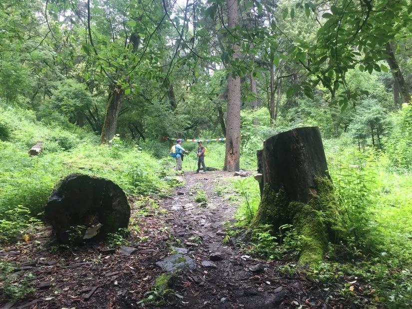 消失的地平线洛克,消失的地平线雨季洛克