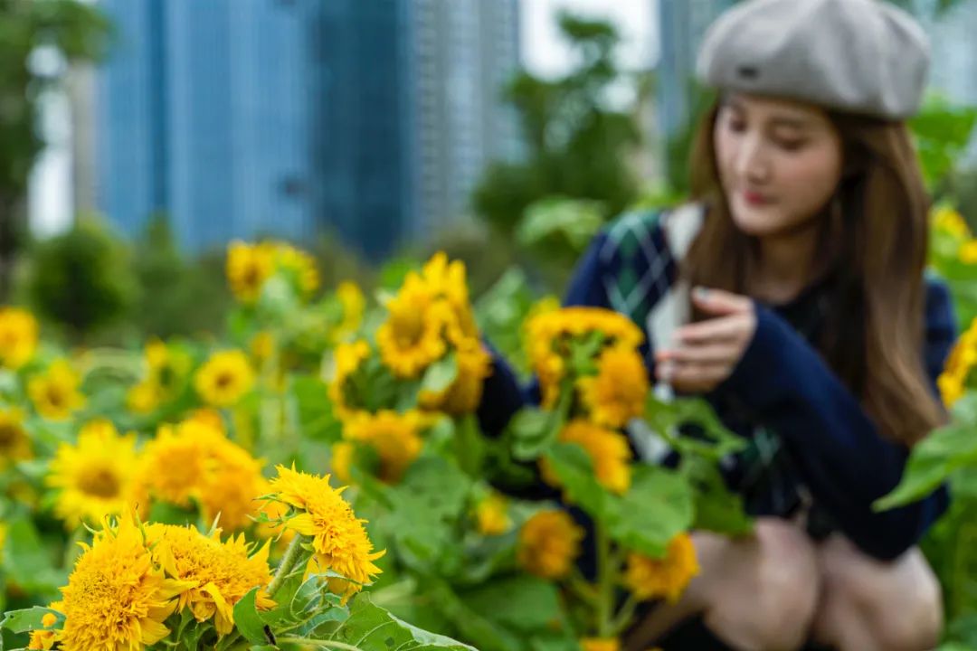 抓住春天的尾巴鸟语花香,抓住花海的尾巴