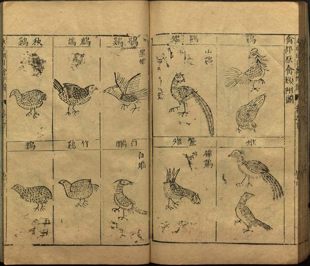 李时珍本草纲目书目录,李时珍本草纲目下卷