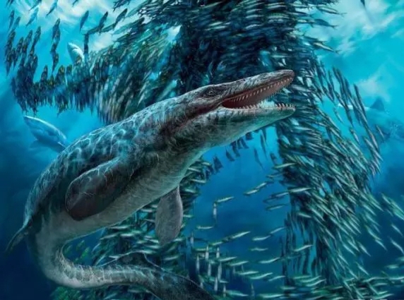 鳄鱼和沧龙还有鲨鱼谁更厉害,巨鳄和沧龙哪个比较厉害
