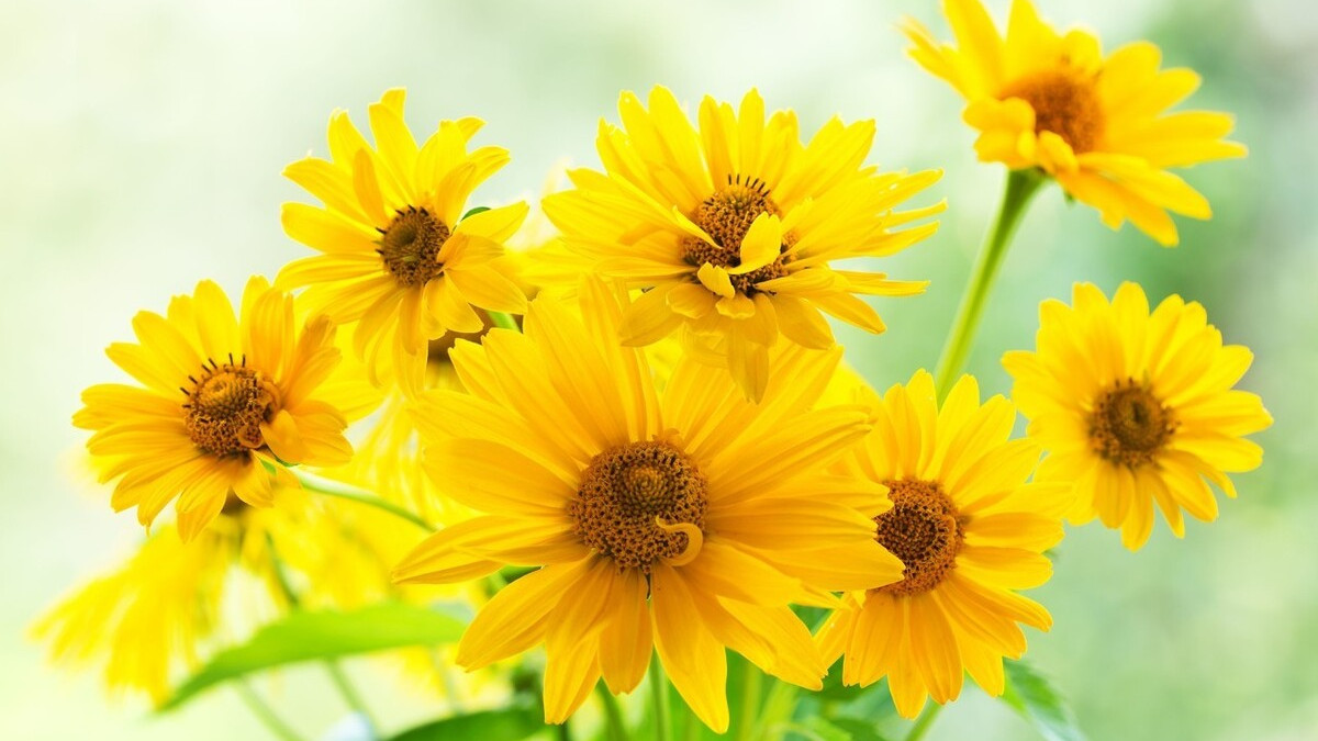 令公桃李满天下，何用堂前更种花。读古诗词，致敬辛苦的园丁