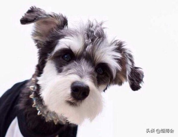 20岁生日礼物推荐女生礼物排行榜,生日礼物12-16岁女孩礼物排行榜