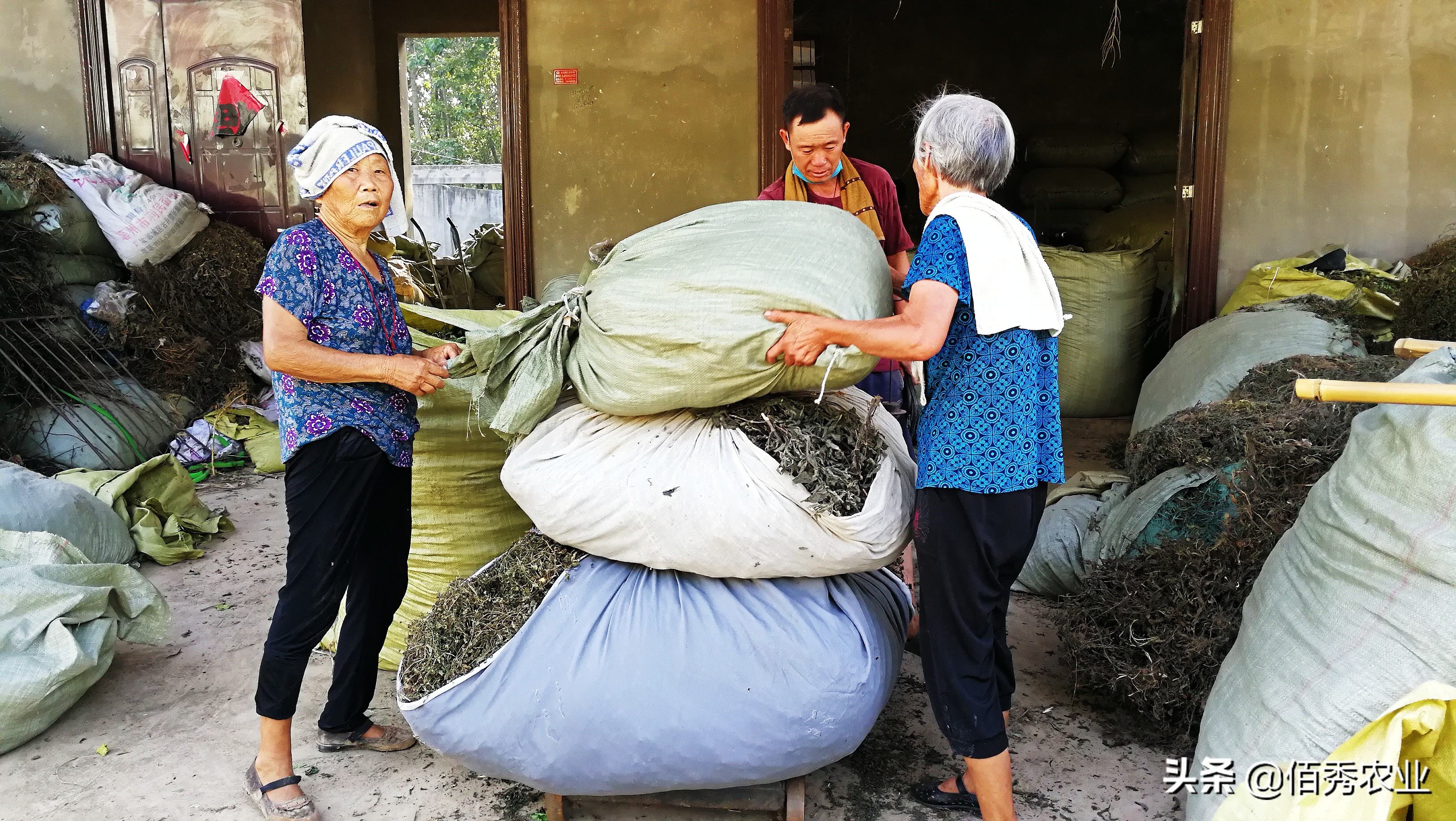农民40岁以后干什么工作最赚钱,50岁农民打工一年能挣多少钱