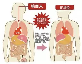 看到家里脏东西怎么办,久坐办公室下身下半身浮肿怎么办