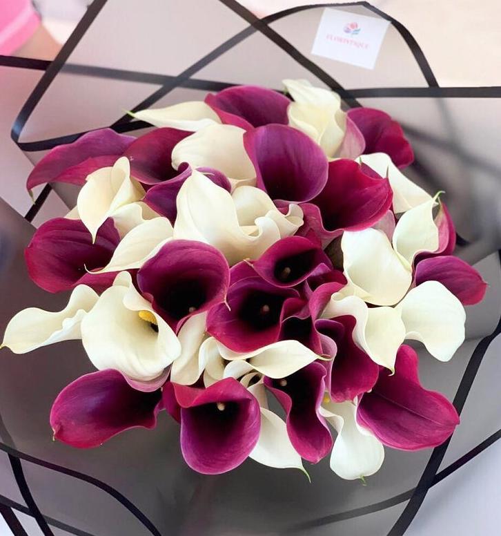 国产马蹄莲盆栽夏天怎么养护,马蹄莲花期施什么肥好养护它呢