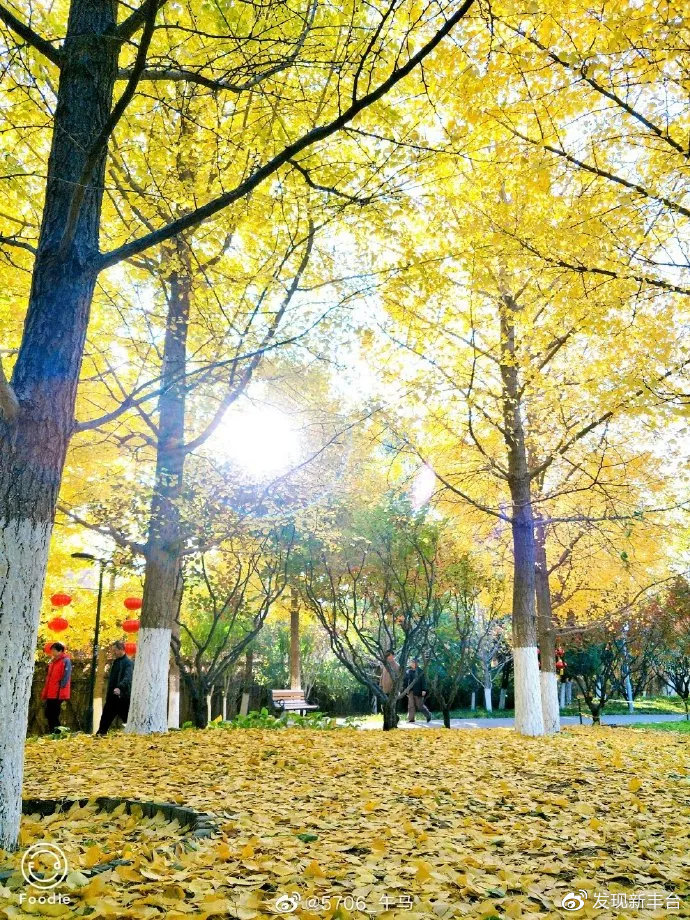 丰台赏秋景最好的地方,丰台赏秋好去处