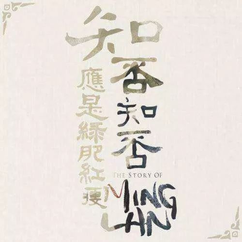 卫小娘难产为啥不找华兰,卫小娘难产之死真相大白