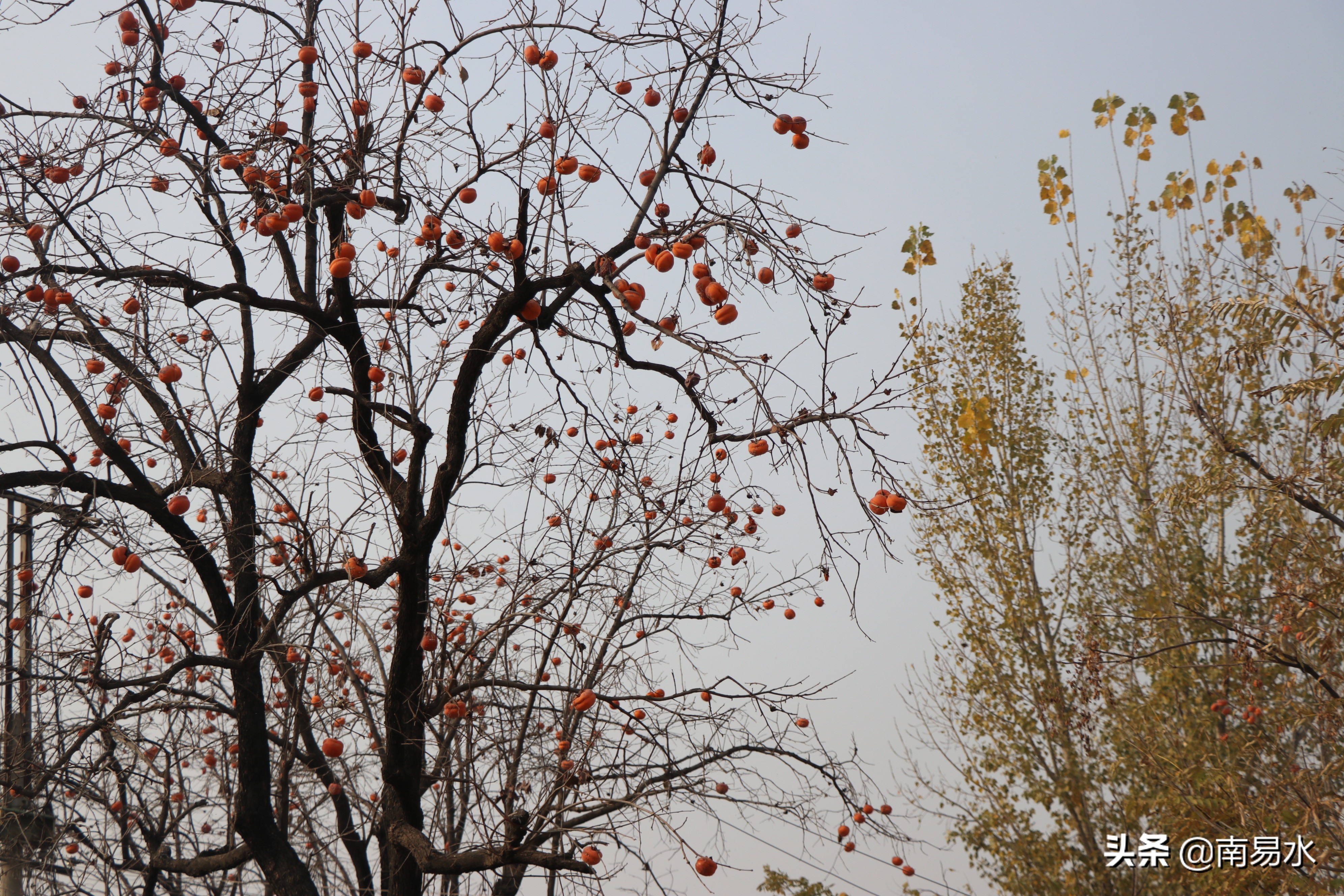 家乡风景带你一起感受自然的味道,令你难以忘怀的家乡的味道