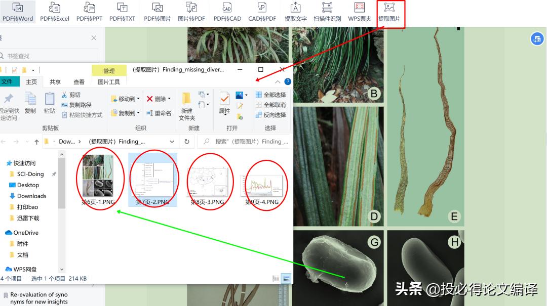 最简单好用的pdf阅读器,程序员都在用的pdf阅读器