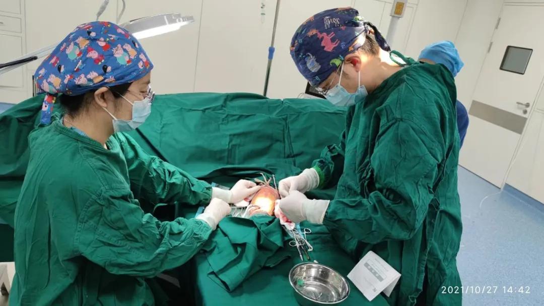 微创北京积水潭医院,肾内科血管造瘘