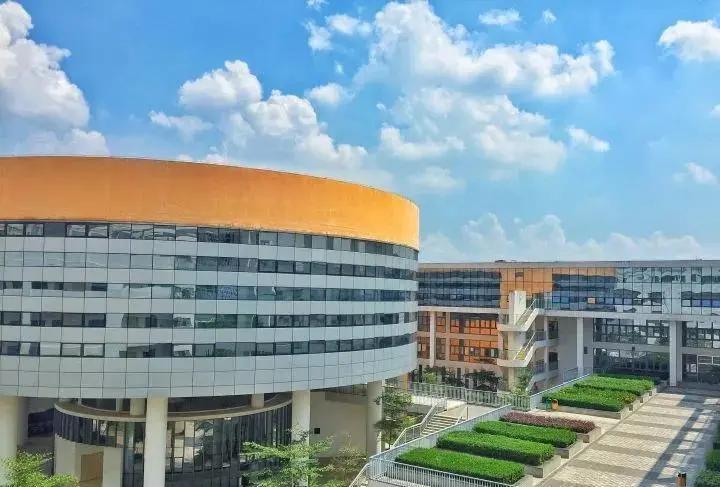 深圳的四大八大是哪些学校,深圳八大高中录取人数