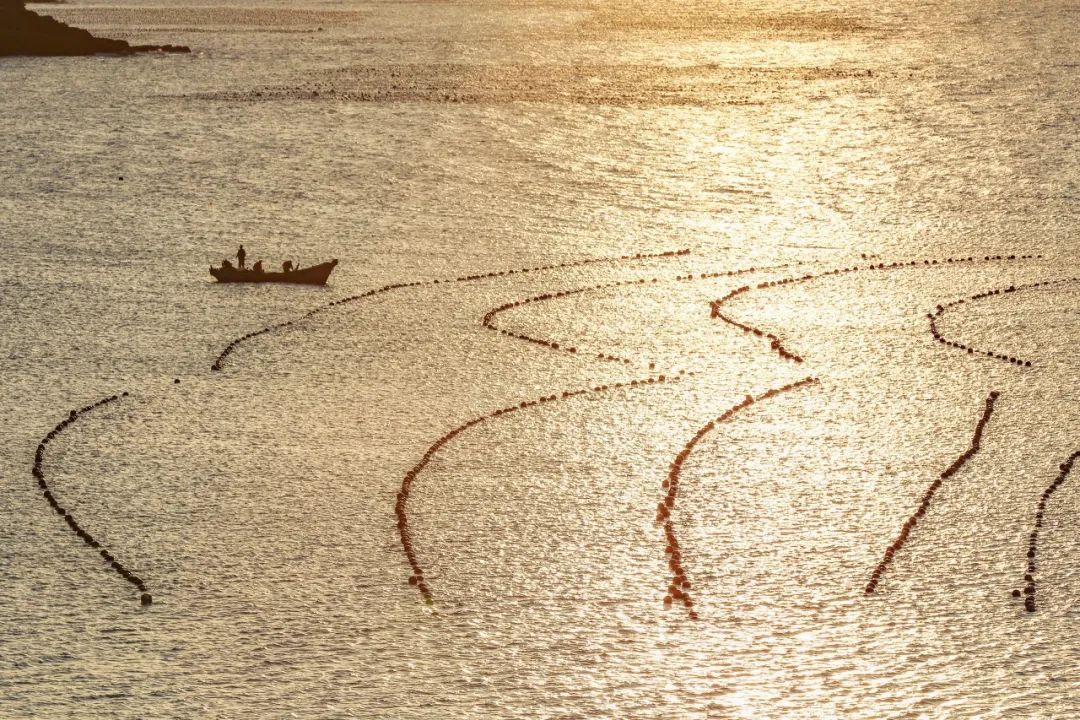 旅游三亚和厦门哪个更值得去,三亚和厦门哪一个更值得去旅游