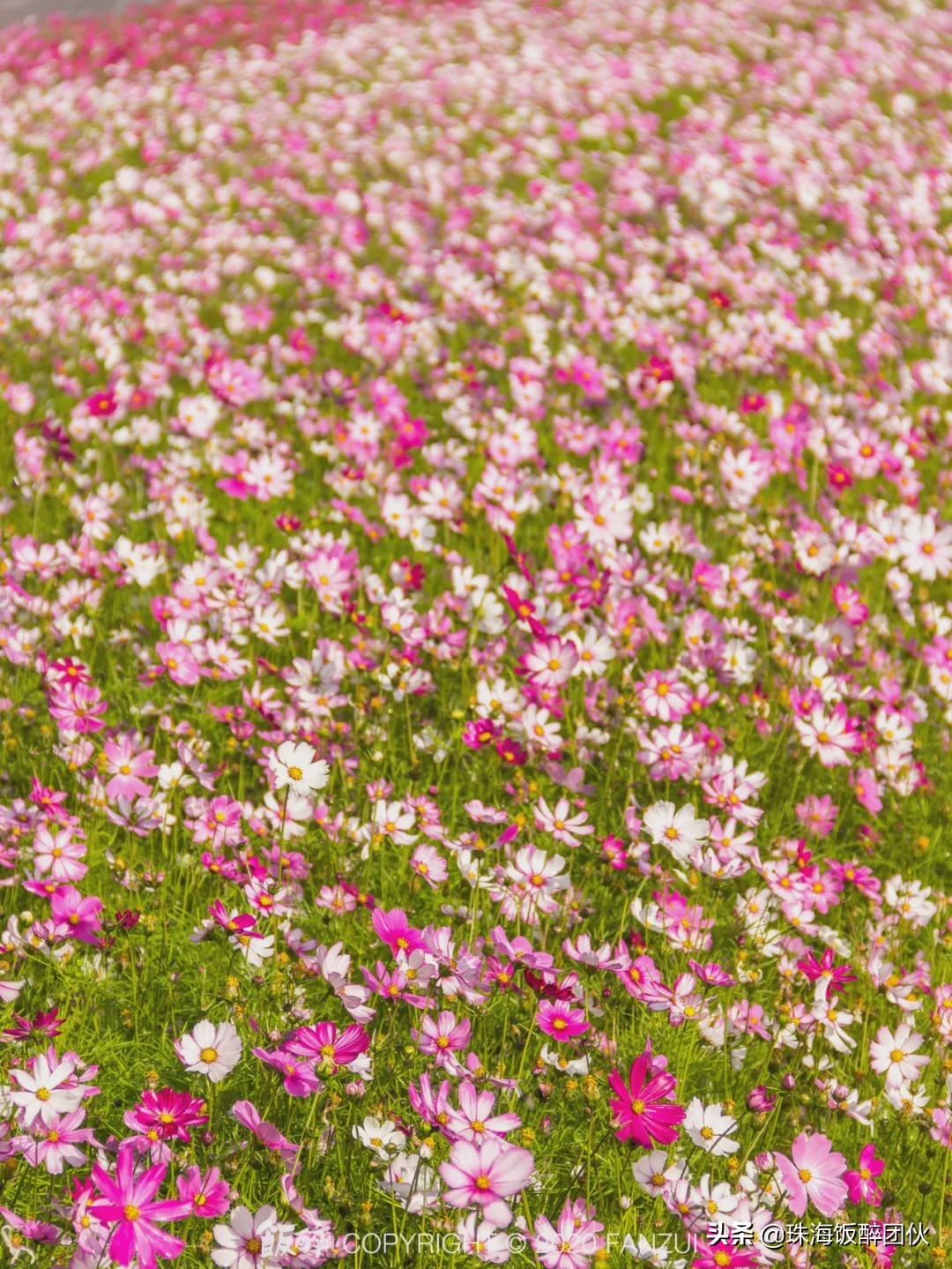 等疫情结束，珠海这些「小众打卡地」你一定要去！
