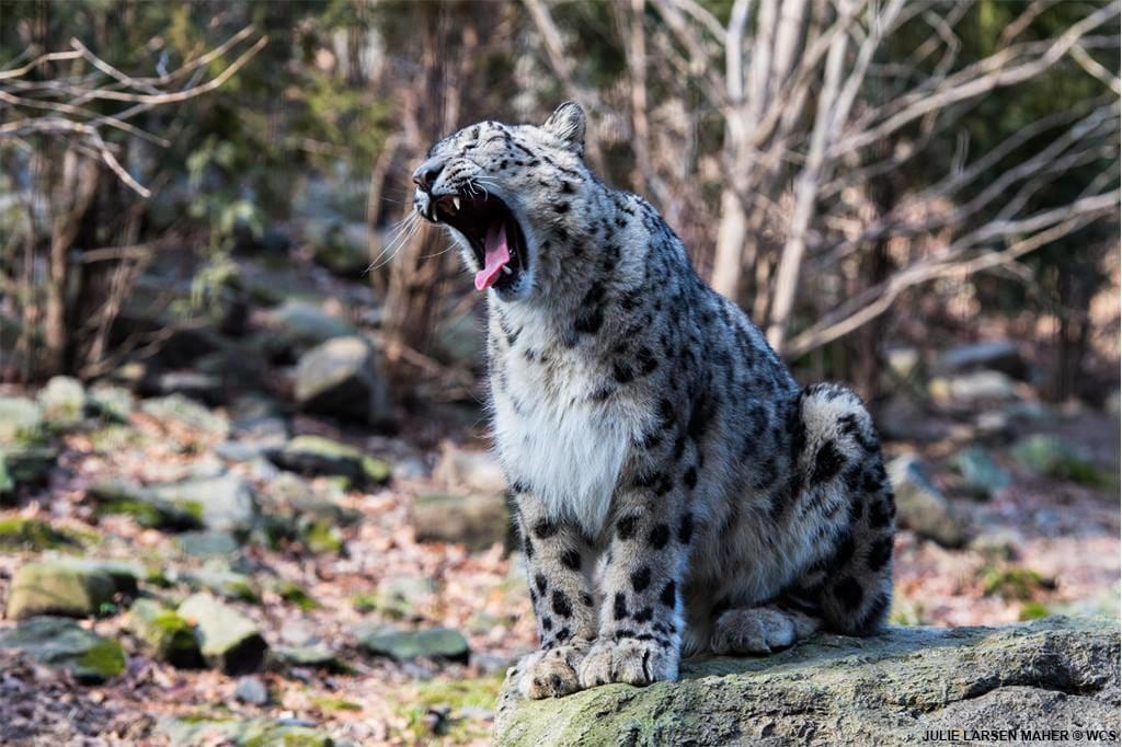 纽约必去的十大景点,纽约必去的10大景点英文