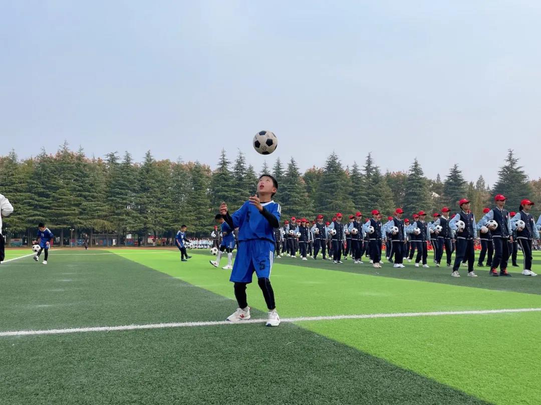 运动赛场展雄姿征文,运动盛会展风采