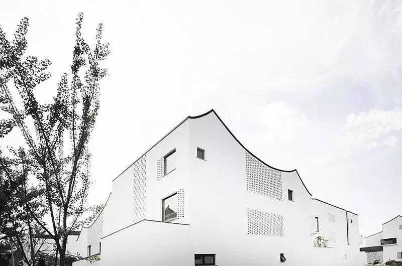 乡村振兴特点文化案例分享,关于乡村振兴比较有创意的点子