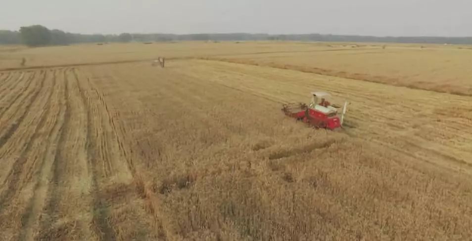 搞个农民专业合作社赚钱吗,想开个农业合作社怎么去运作