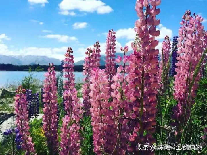 十大在家最挣钱的工作,去做什么工作才是最赚钱的