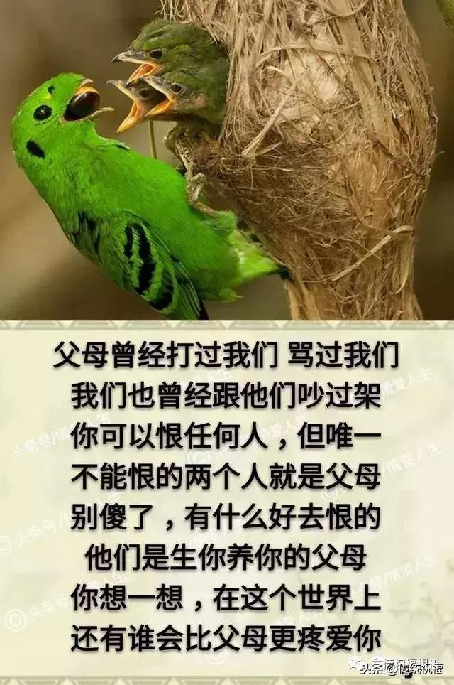 我的家庭相册怎么弄,我的家庭相册全集