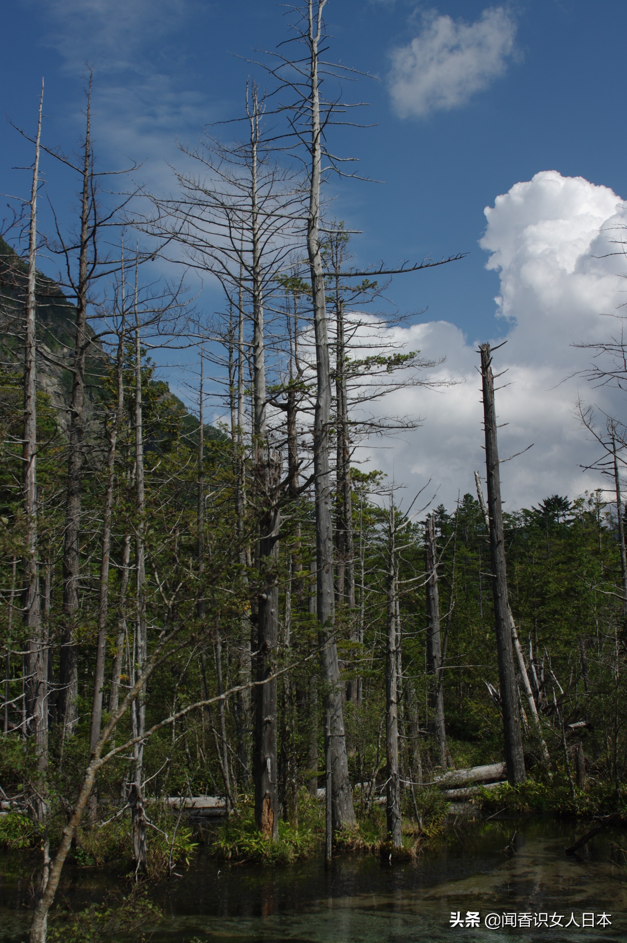 长野好玩的地方,日本长野旅游攻略