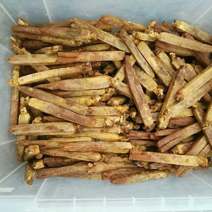 鲜参的加工详细方法,鲜参的种类大全