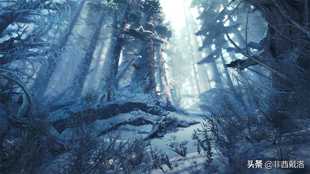 怪物猎人世界dlc雪原,怪物猎人世界冰原dlc深度测评