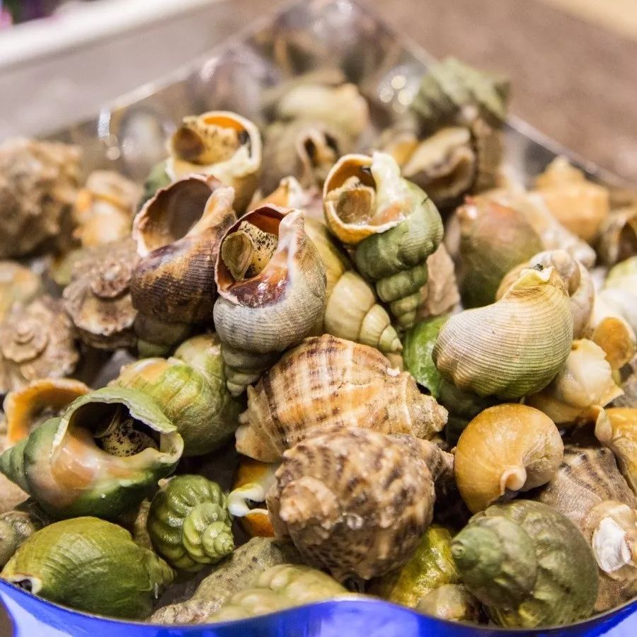 “暖男级”五星酒店自助，藏着林俊杰打卡过的正宗咖喱