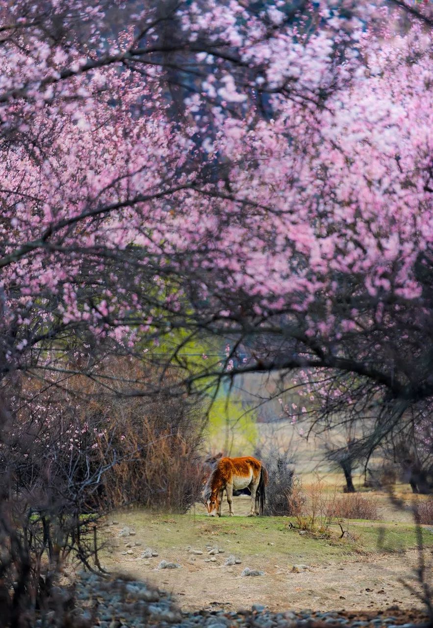 一生必去的50个最美的地方列表图,一生必去全球50个最美的地方