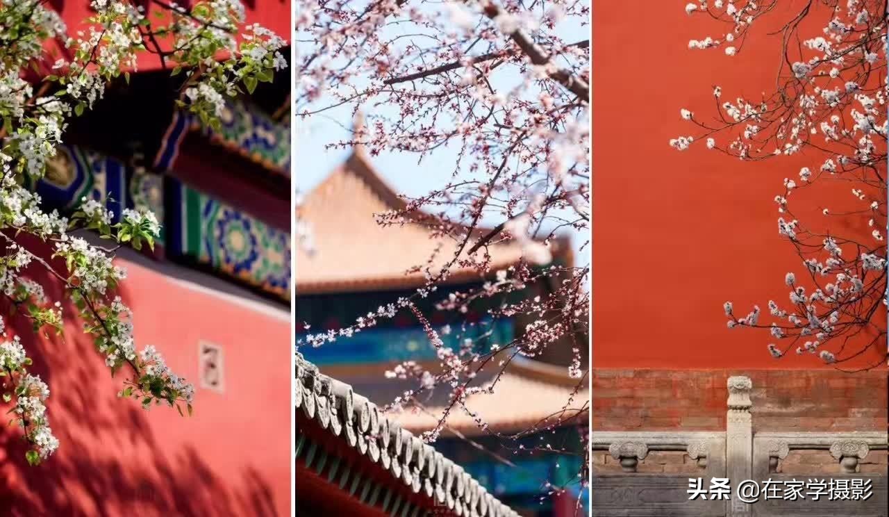 北京故宫旅行拍摄教程,北京故宫拍摄全景攻略