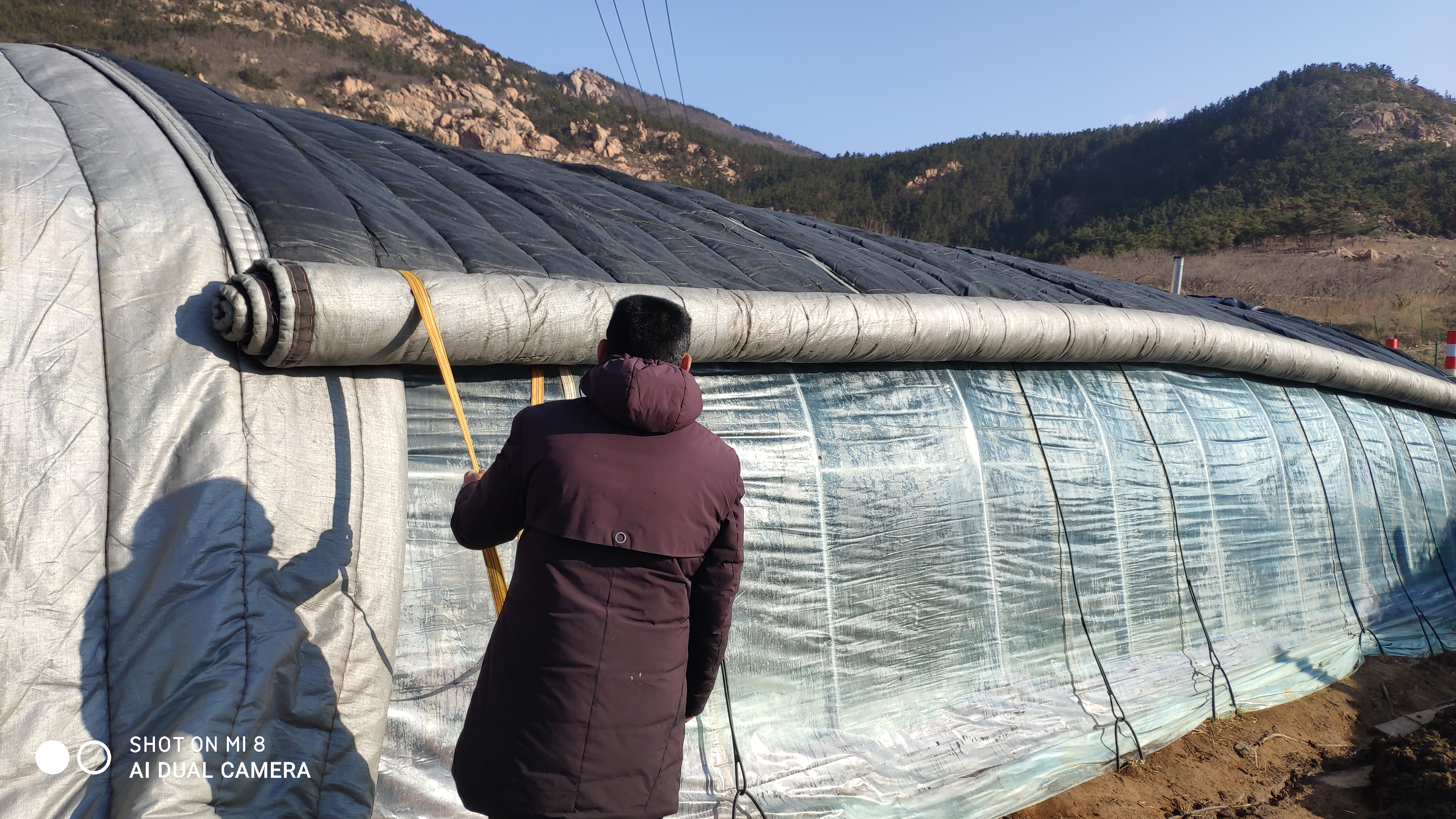 崂山水畔菜蔬鲜，黄石洞中书韵长