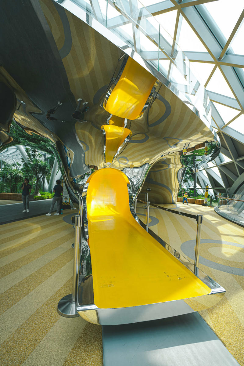 一人一猫环游,一人一猫旅行