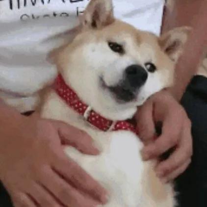 微信暗黑模式即将上线,安卓微信暗黑模式怎么开