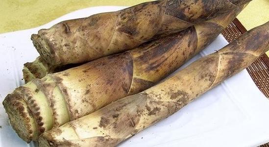 竹笋烧肉最正宗的做法,竹笋烧肉怎么做最好吃又简单