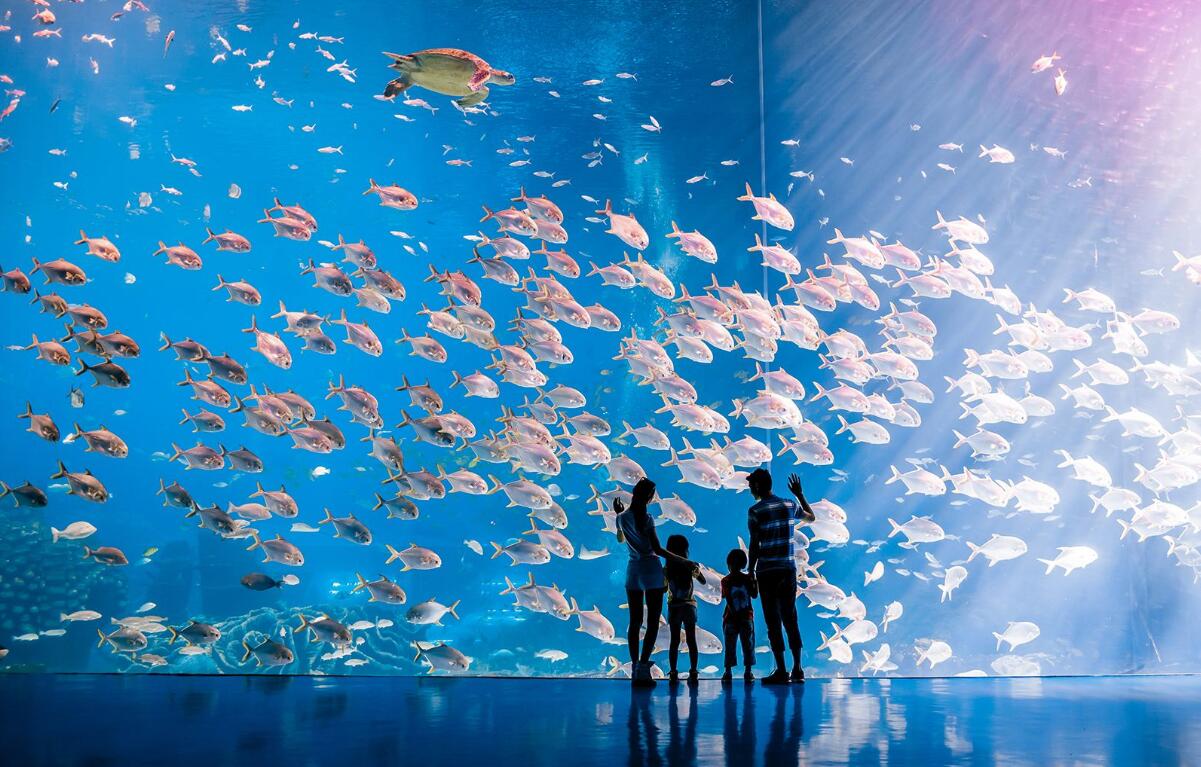 珠海最顶级海边景点是哪里,珠海浪漫海滨城市客厅音乐节