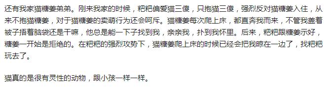 养猫三年以上你的猫吃的什么,养猫三年没摸过猫