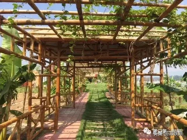福建人喜欢吃芭乐,福建人喜欢吃芭乐吗为什么