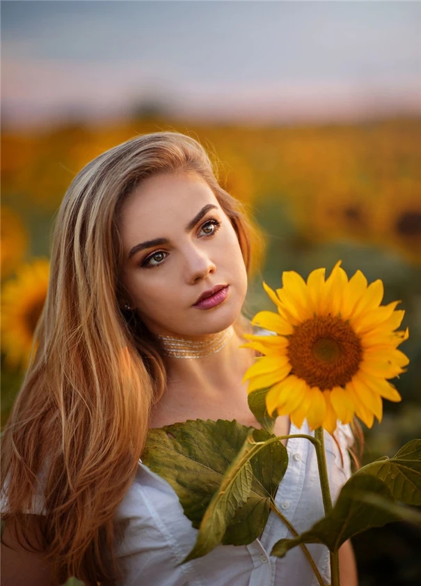 鏈夌埍鐨勫悜鏃ヨ懙,鏆栧績鐨勫悜鏃ヨ懙