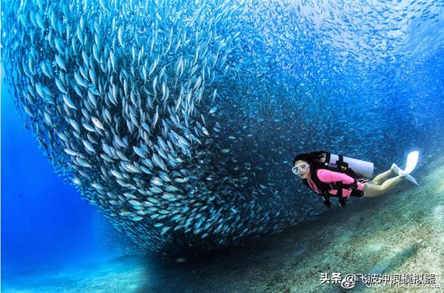 飞波与美娜多合作的项目预计在今年运营