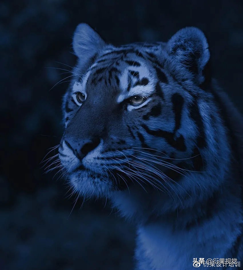 ps发光logo制作教程,ps软件教程制作发光特效