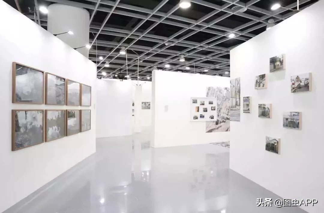 图虫opensealab摄影,图虫看动物世界系列