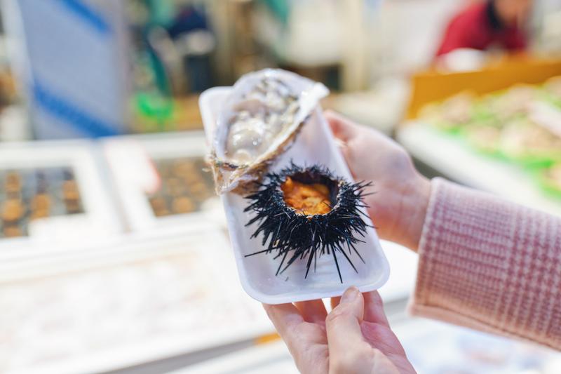 日本小众路线冬,日本冬天观光公路